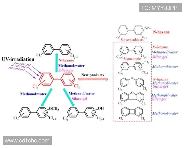 广州街舞队技术解析与风格创新的深度探讨与展望