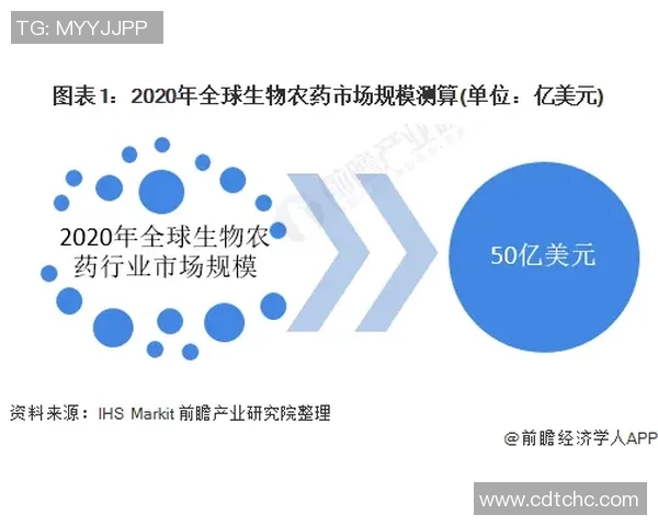 成都滑板队转型之路的挑战与机遇分析