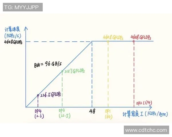 杭州排球队灵活性分析与战术创新的深度探讨