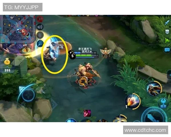 权威发布王者荣耀灵活性实力榜单全面解读与分析